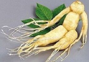 Raíz do ginseng para facer unha infusión