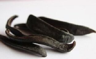 Sanguijuelas secas para facer pomadas
