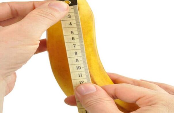 Medir o pene antes da ampliación usando un plátano como exemplo